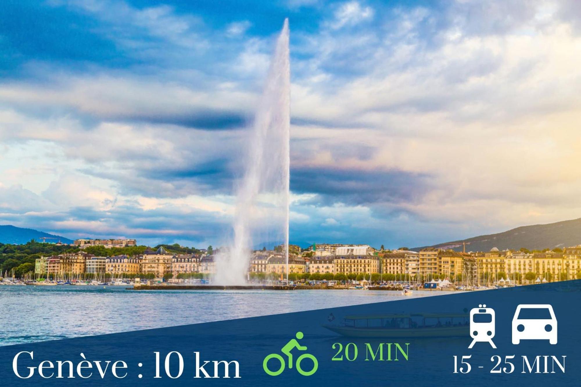 Homey Wild - Proche Gare Et Tram - Proche Centre - Balcon Prive - Parking Prive - Wifi Gratuit Annemasse Exterior foto